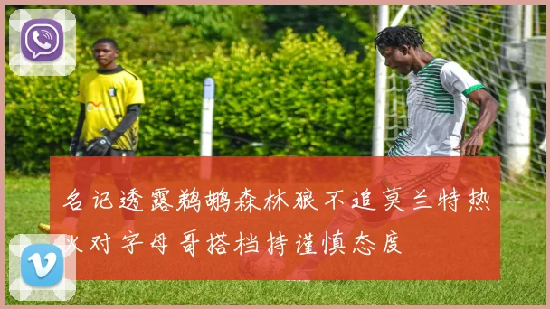 名记透露鹈鹕森林狼不追莫兰特热火对字母哥搭档持谨慎态度